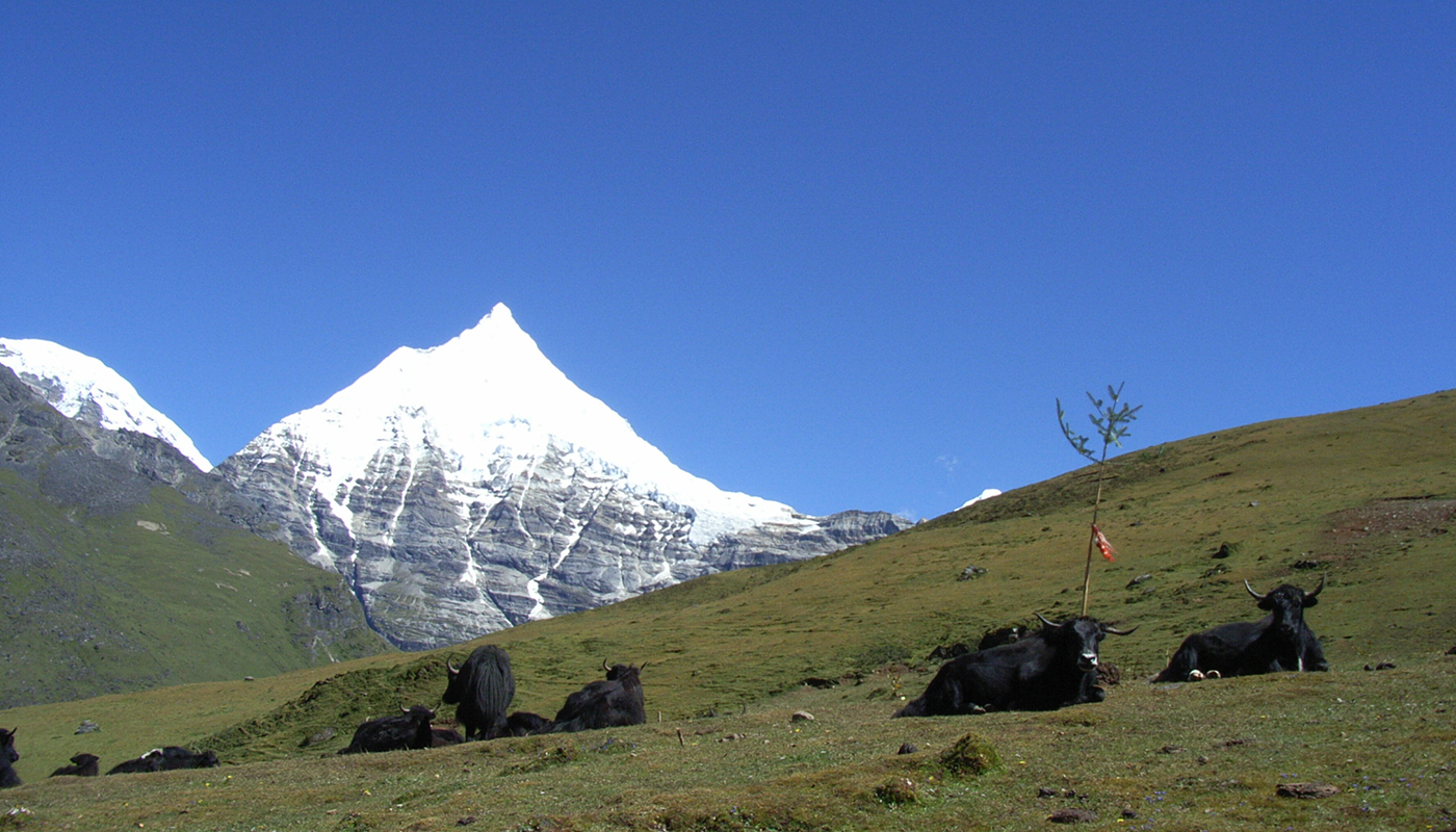 Gangkar Puensum Trek