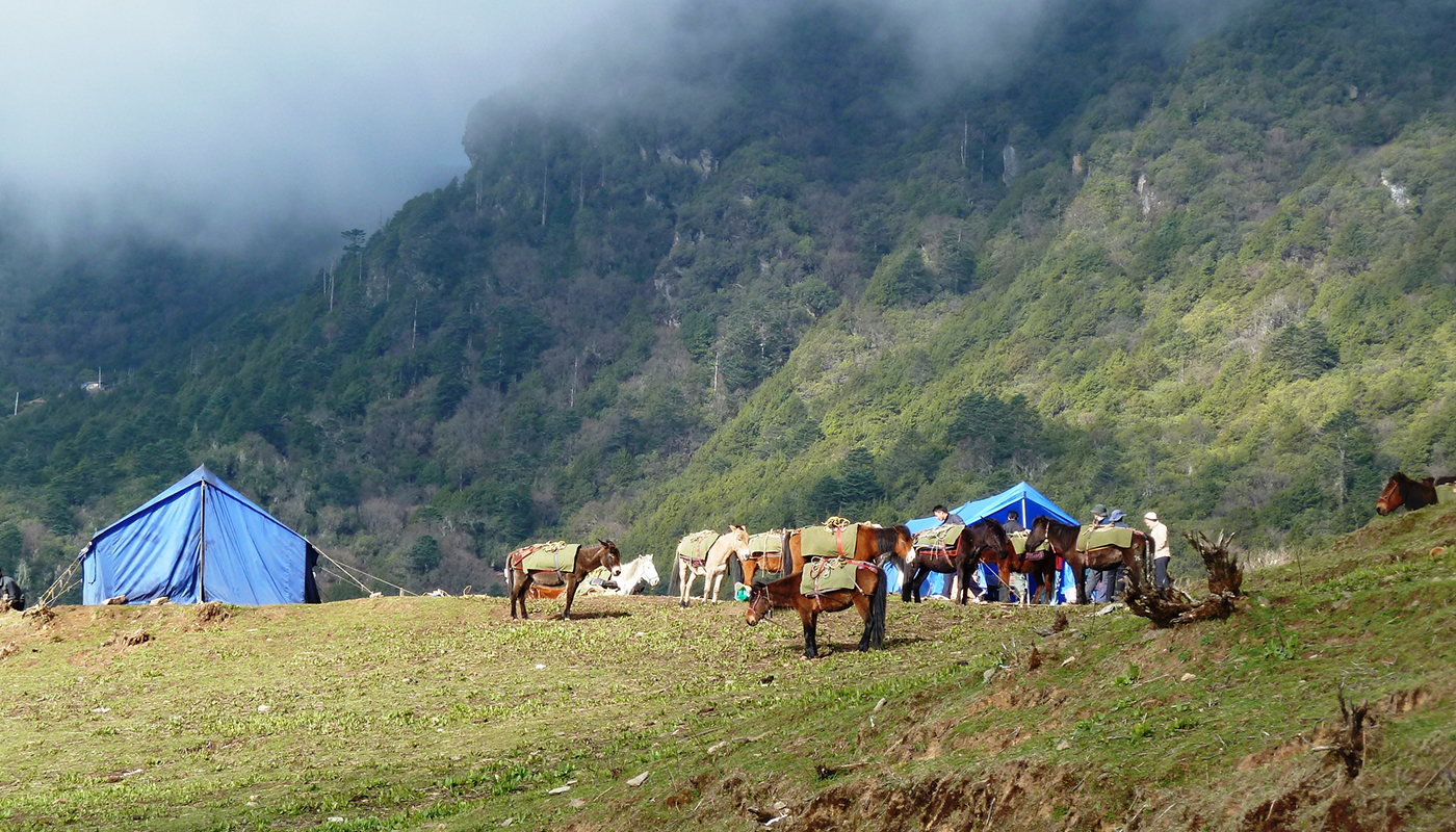 Druk Path Trek